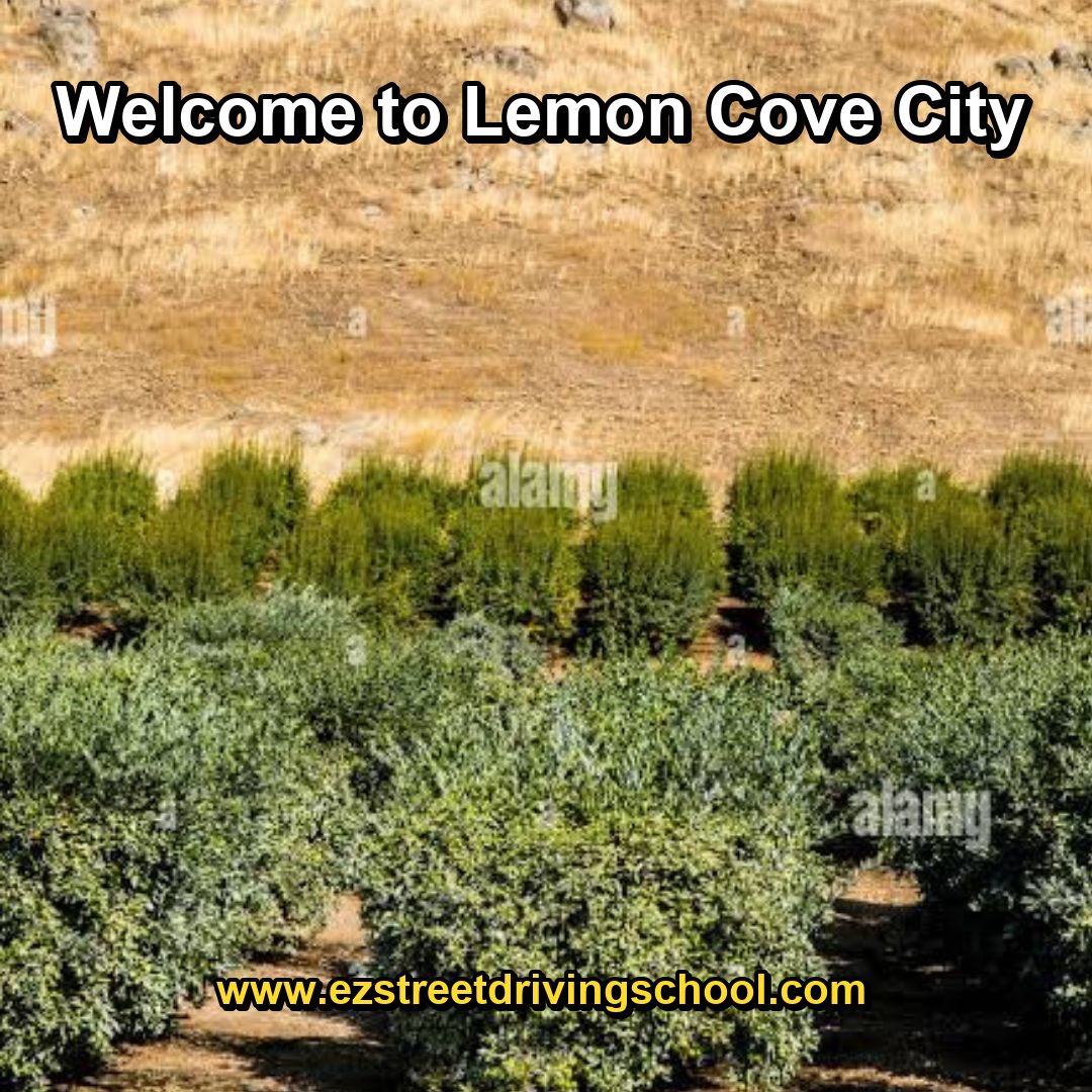 Driving Lessons in Lemon Cove